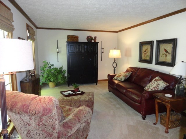 Colony Woods - Residential