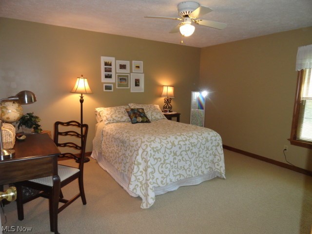 Colony Woods - Residential