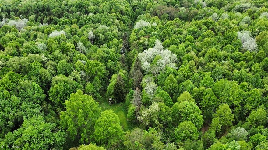 Nice property with 19.2195 wooded acres with lots of wildlife and a potential secluded building site. 150 ft of frontage on state Rt 62 and 590 ft on Egypt Rd. Gas and oil rights transfer. Gravel drive off Rt 62 with a path leading back through the woods. The property is all wooded with a cleared meadow in the middle that the owner used for a food plot. Great piece of land for hunting and recreation with access from two roads.