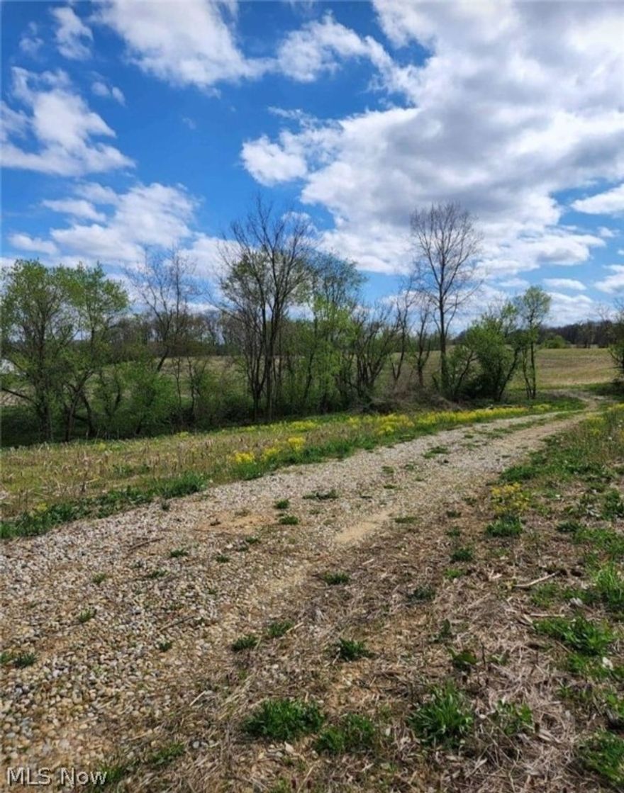 Beautiful rolling land to farm or build on.  Driveway is at least 200' and 2 small sheds on this site.  Currently has crop in 26 acres, that tenant has rights to harvest.