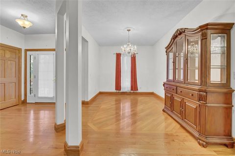 Tiny photo for 340 Granger Drive, LaGrange, OH 44050 (MLS # 5177149)