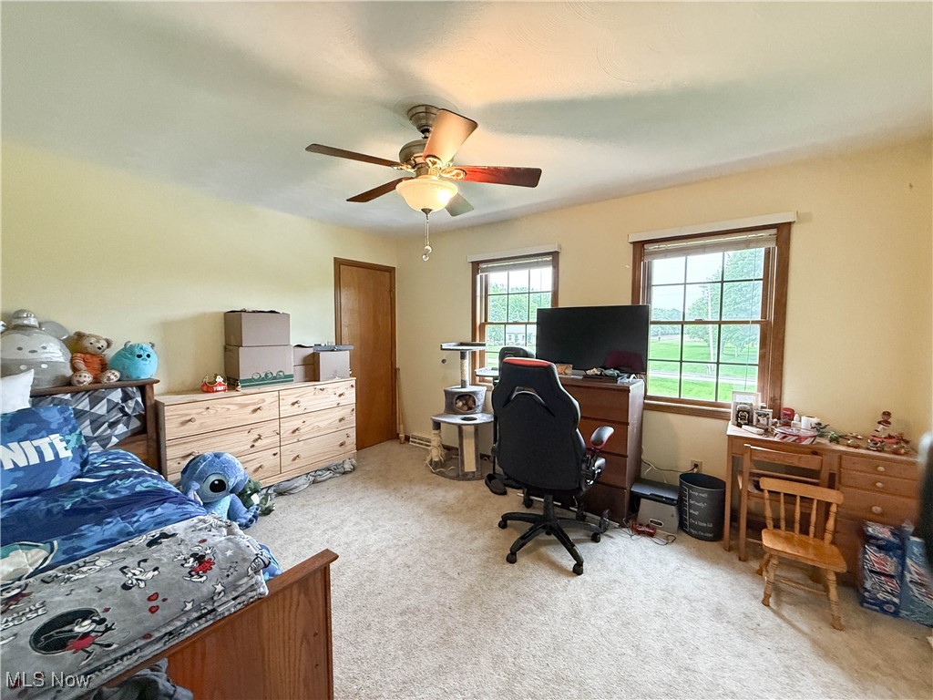 11737 Gladstone Road, North Jackson, Ohio image 16
