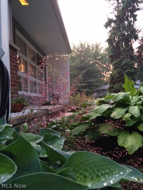 Arlington Knolls - Residential