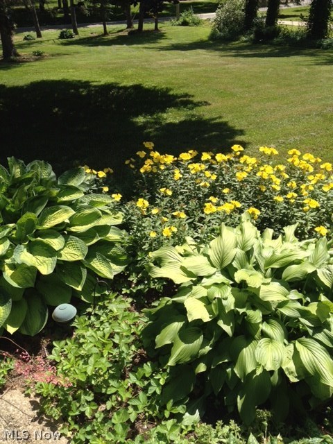 Arlington Knolls - Residential