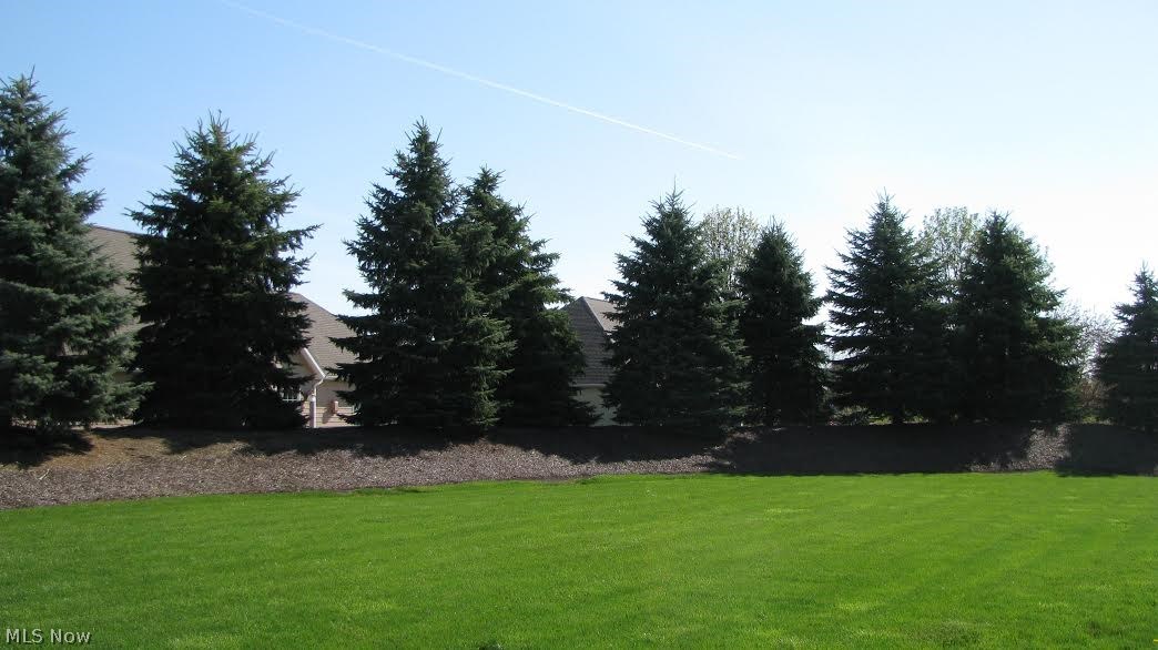 Emerald Estates Ph 1 - Residential