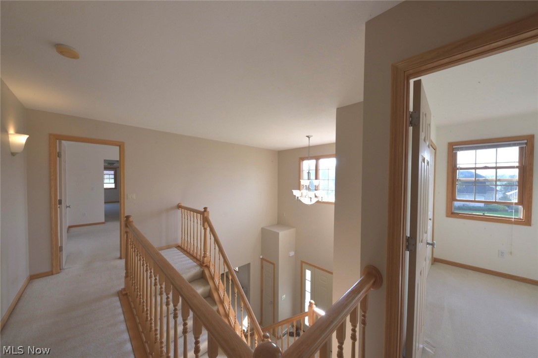 The Preserve 7 - Residential