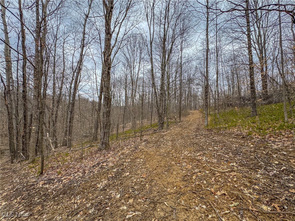 Township Road 329, Corning, Ohio image 28