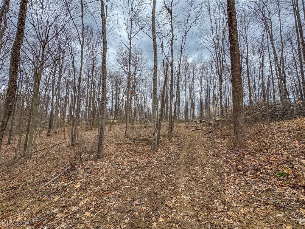 Township Road 329, Corning, Ohio image 33