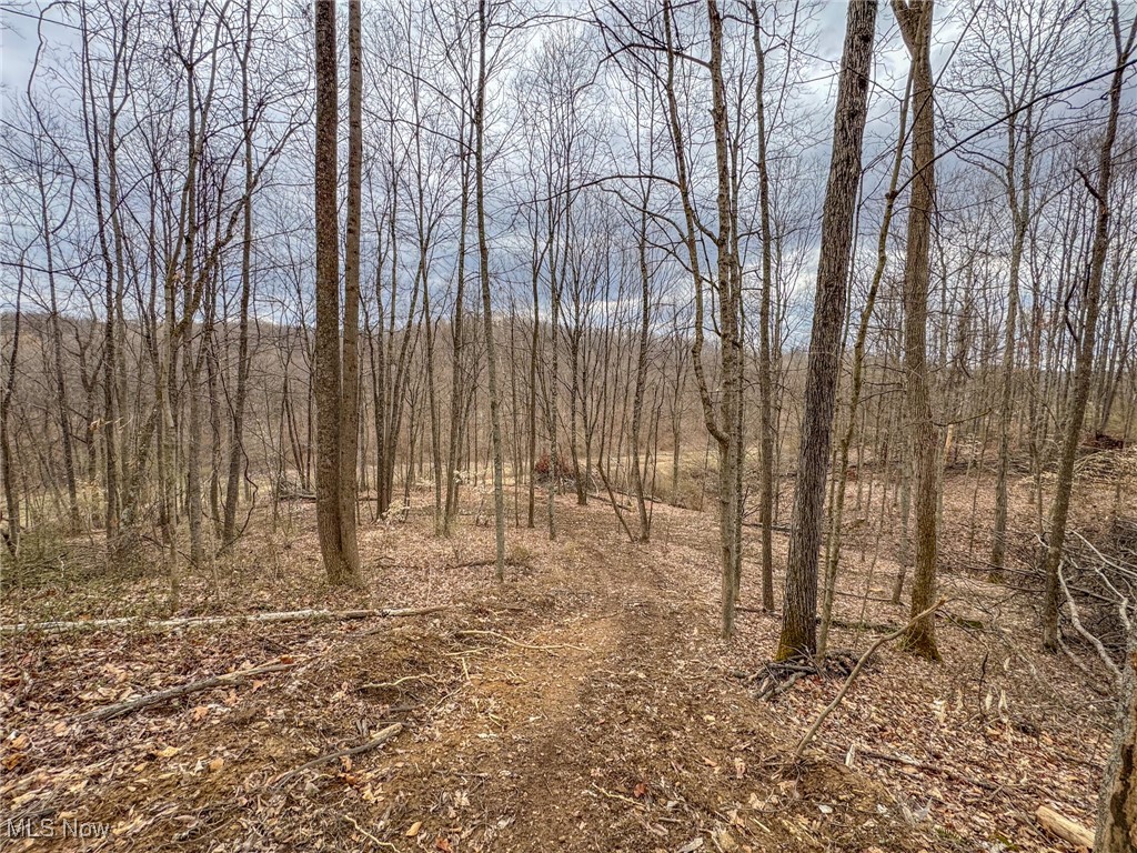 Township Road 329, Corning, Ohio image 36