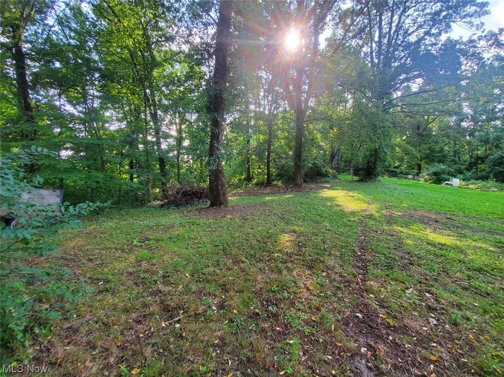 Photo 3 of 10 of 72531 Old 21 Road land