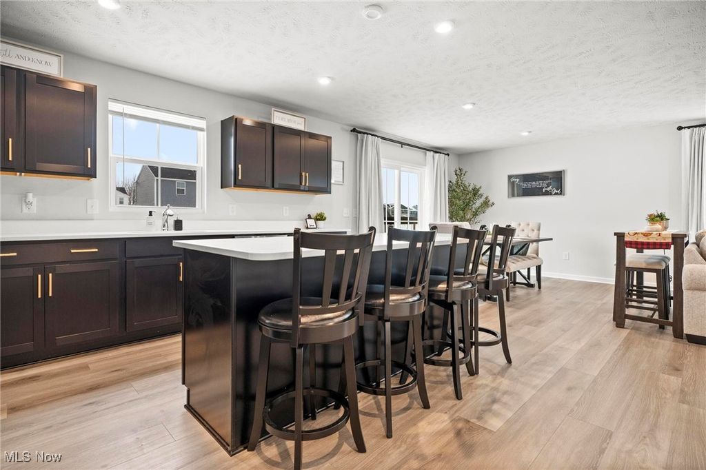 Photo of 214 Leather Leaf Drive, Elyria, OH 44035 (MLS # 5178949)