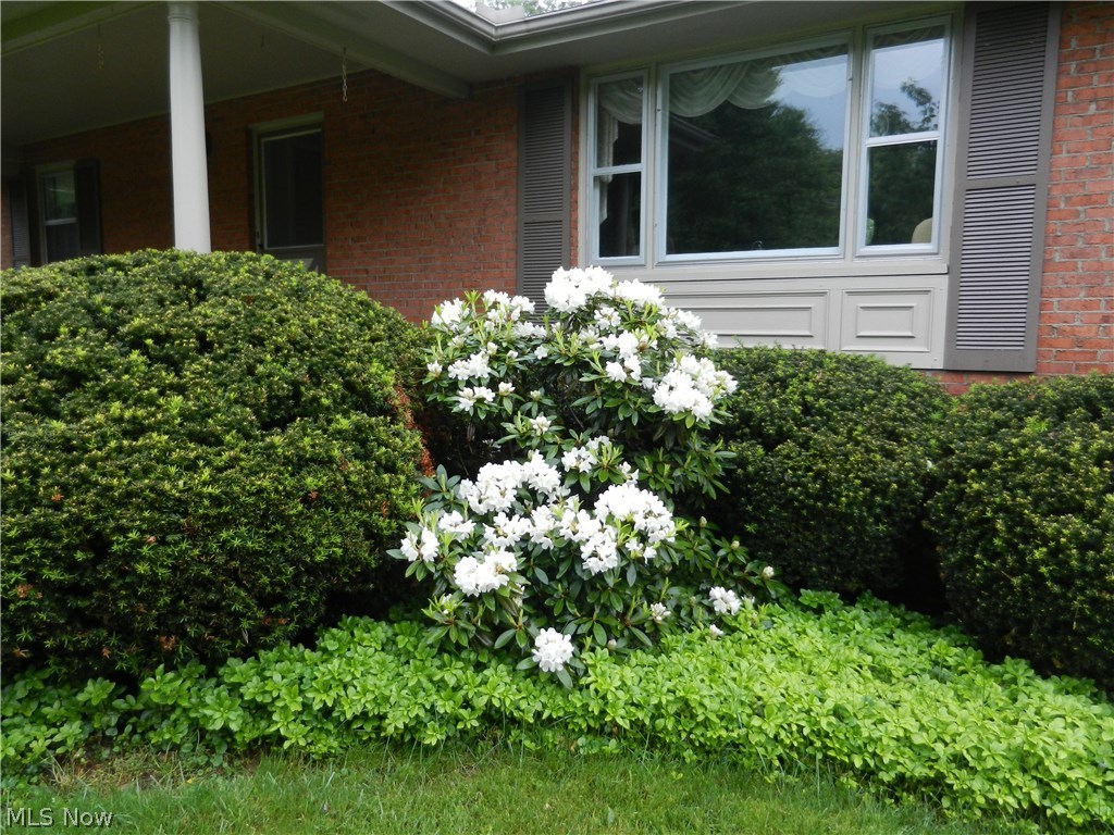 Residential Park - Residential