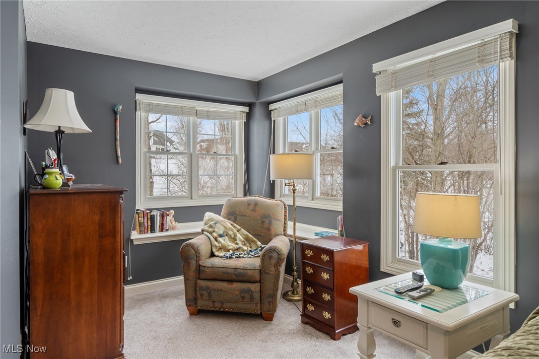 1496 Golden Lane, Broadview Heights, Ohio image 16