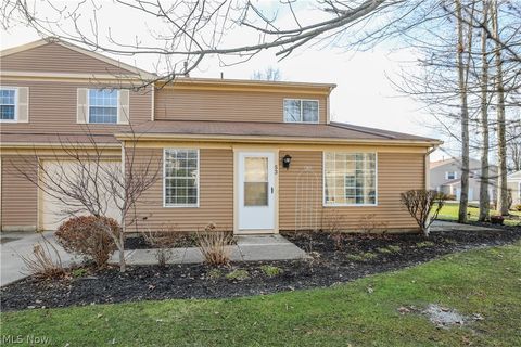 53 Privet Lane Northfield OH 44067