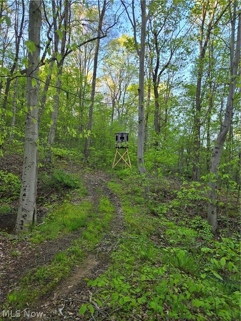 Tiny photo for 8280 Township Road 263, Bergholz, OH 43908 (MLS # 5210357)