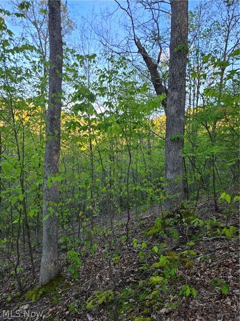 Tiny photo for 8280 Township Road 263, Bergholz, OH 43908 (MLS # 5210357)