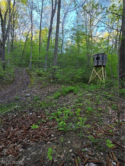 Tiny photo for 8280 Township Road 263, Bergholz, OH 43908 (MLS # 5210357)