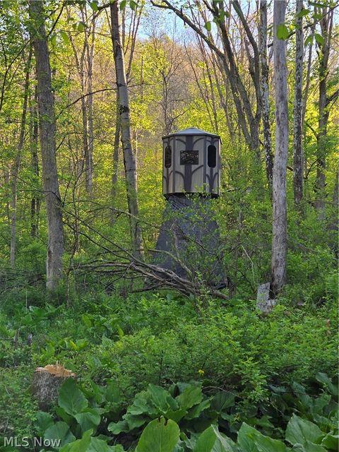 Tiny photo for 8280 Township Road 263, Bergholz, OH 43908 (MLS # 5210357)