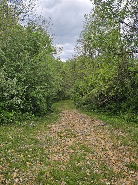 Tiny photo for 8280 Township Road 263, Bergholz, OH 43908 (MLS # 5210357)