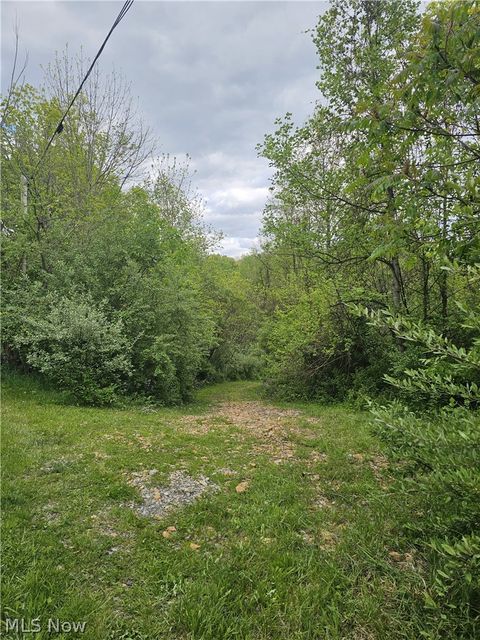 Photo of 8280 Township Road 263, Bergholz, OH 43908 (MLS # 5210357)