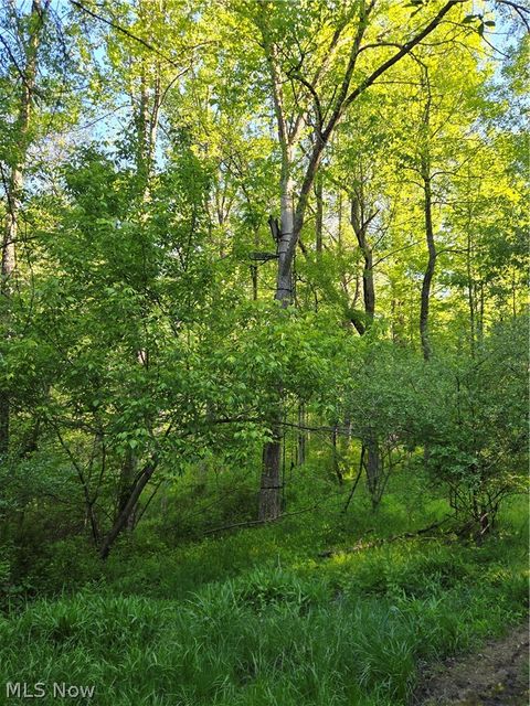 Tiny photo for 8280 Township Road 263, Bergholz, OH 43908 (MLS # 5210357)