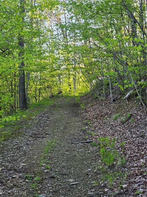 Tiny photo for 8280 Township Road 263, Bergholz, OH 43908 (MLS # 5210357)