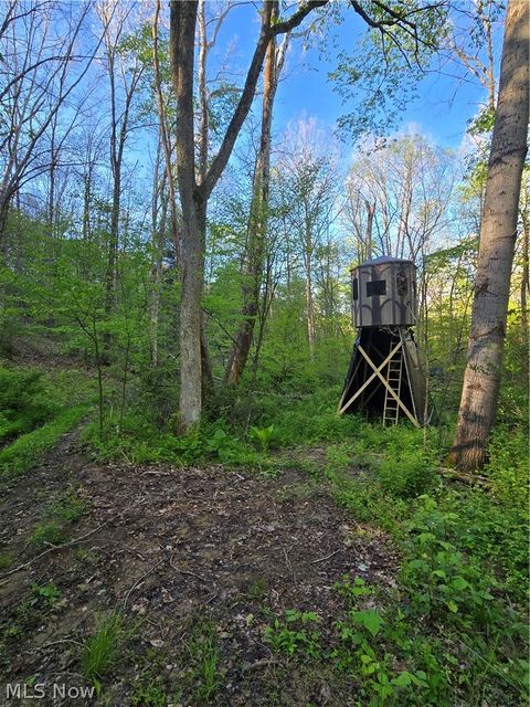 Tiny photo for 8280 Township Road 263, Bergholz, OH 43908 (MLS # 5210357)