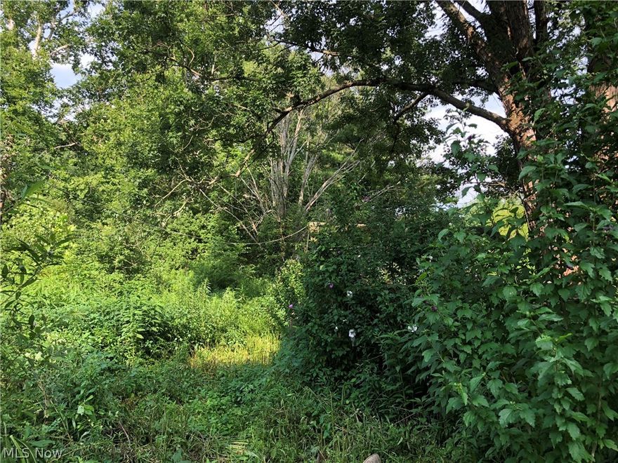Nice building lot of 3.67 acres. City water available next door, septic system. Home on property needs torn down - not liveable, has no value.