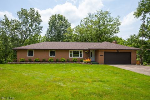 Single Family Residence in Elyria OH 38603 River Road.jpg