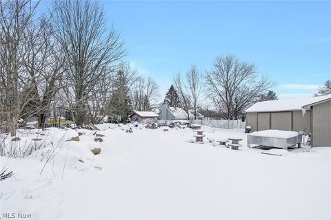Tiny photo for 10725 Struthers Road, New Middletown, OH 44442 (MLS # 5188129)