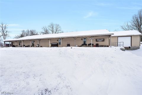 Tiny photo for 10725 Struthers Road, New Middletown, OH 44442 (MLS # 5188129)