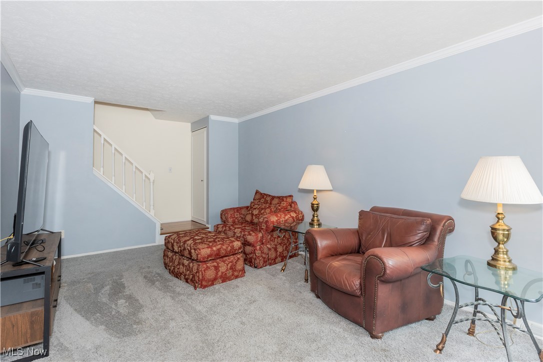 Big Turtle II Condo - Residential