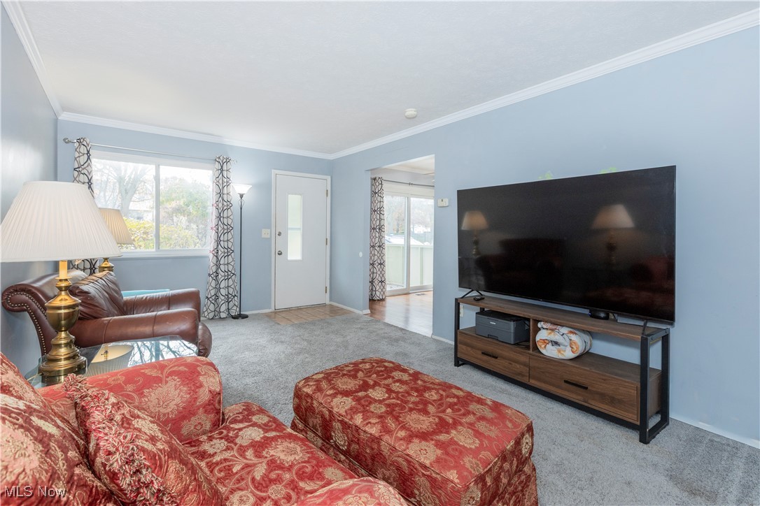 Big Turtle II Condo - Residential