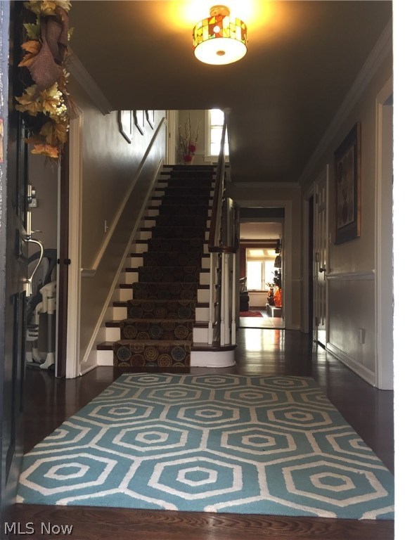 Forest Glen Estates - Residential