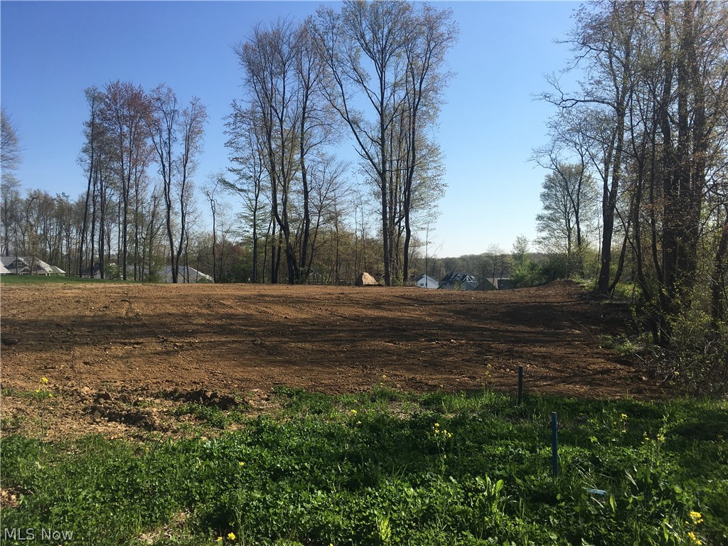 Beautiful .75 acre lot in Kings Ridge in Green. Great opportunity to build on one of the largest lots in one of the newer phases of Kings Ridge. Area of fine homes. This lot can accommodate a single family residence with walk out basement. Site plan already prepared, lot graded and ready to build! Minimum build square footage is 2000 sq ft single story and 2200 sq ft two-story. Bring your own builder. Kings Ridge is just minutes from I-77 and local shopping and restaurants. Green Schools.