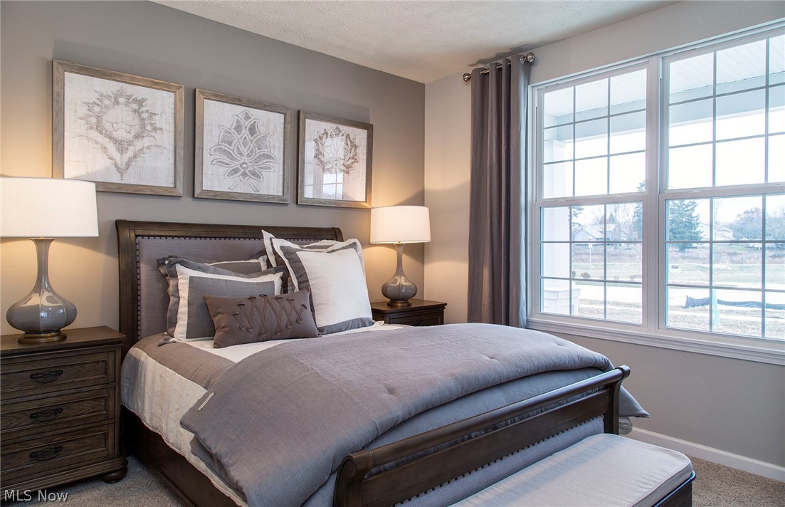 Forest Creek - Residential