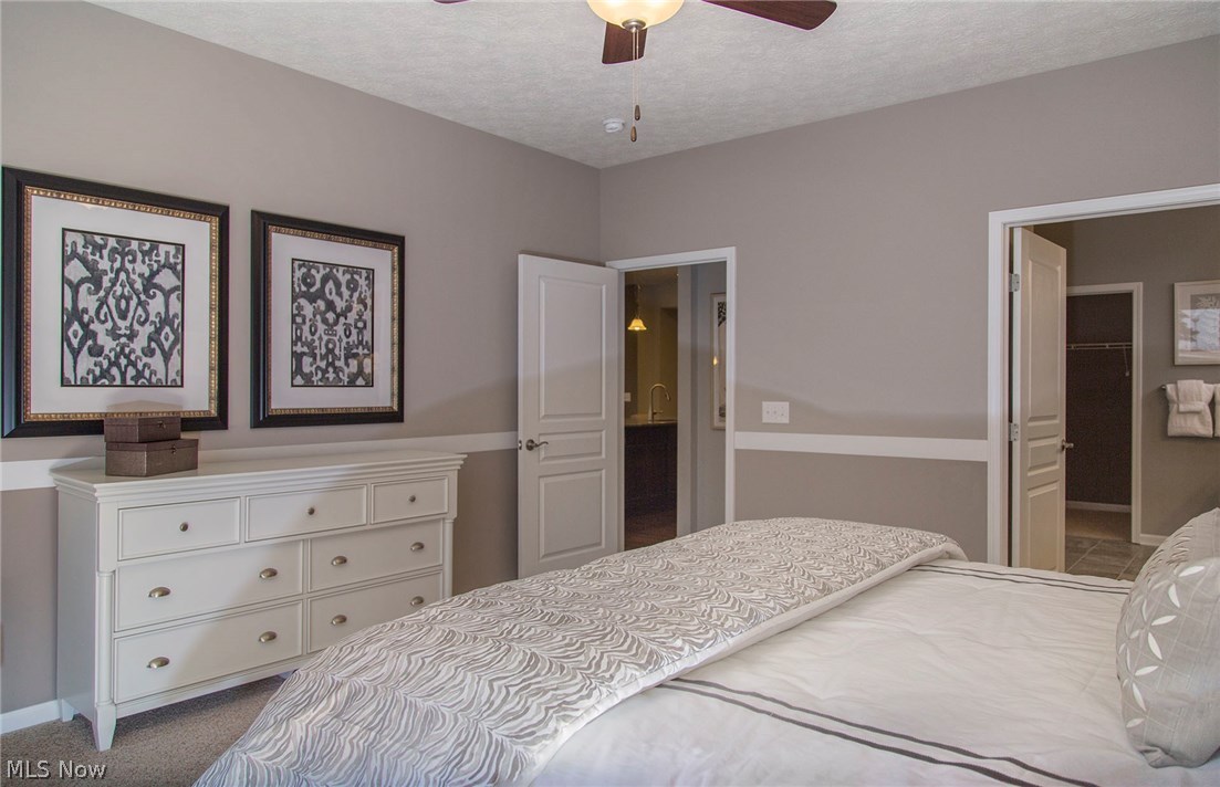 Forest Creek - Residential