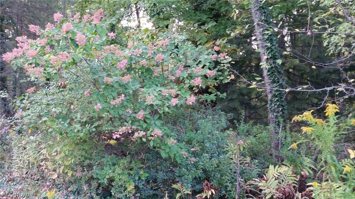 Massillon - Residential