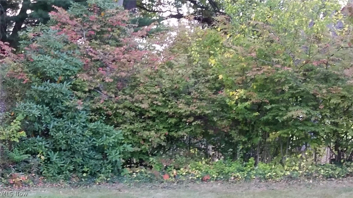 Massillon - Residential