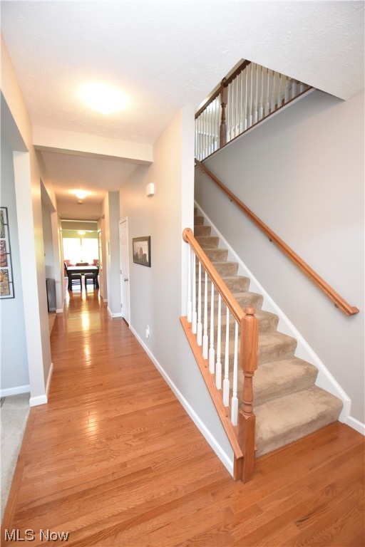 Stoney Pointe Estates Ph I - Residential