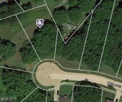 Vacant Land For Sale - 230 Michael Court<br/> Painesville, OH 44077