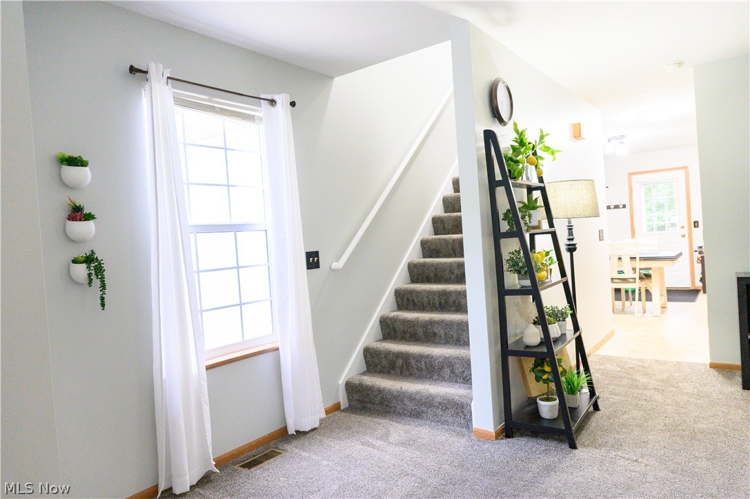 Springfield Heights - Residential