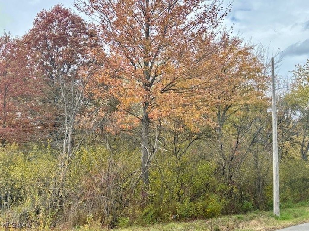 Photo of Naylor Lloyd Road, Girard, OH 44420 (MLS # 5168140)