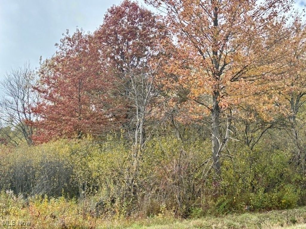 Photo of Naylor Lloyd Road, Girard, OH 44420 (MLS # 5168140)