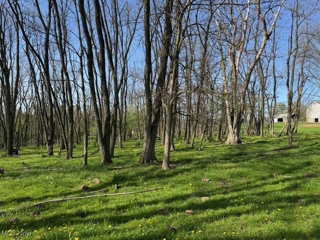 V/L Wooster Pike, Seville, Ohio image 14
