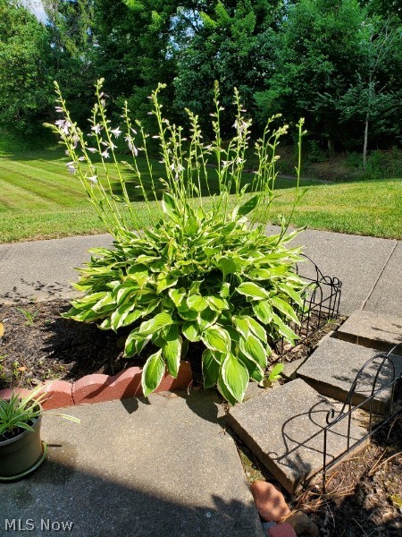 Northfield Woods Condo - Residential