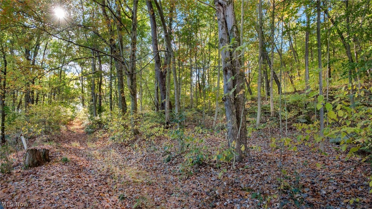 Hill Private Road Sub - Residential