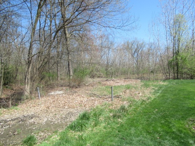 VL Forest Brook Drive, Akron, Ohio image 1