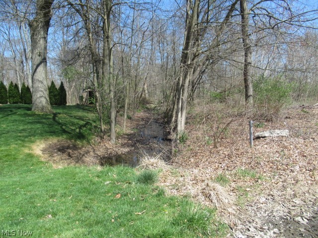 VL Forest Brook Drive, Akron, Ohio image 3