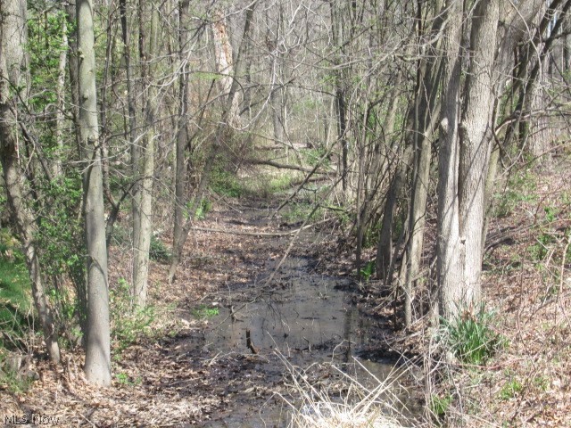 VL Forest Brook Drive, Akron, Ohio image 6